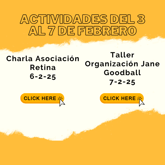 ACTIVIDADES DEL 3 AL 7 DE FEBRERO
